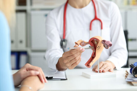 gynecologist shows patient work training model female reproductive system 560x373jpg