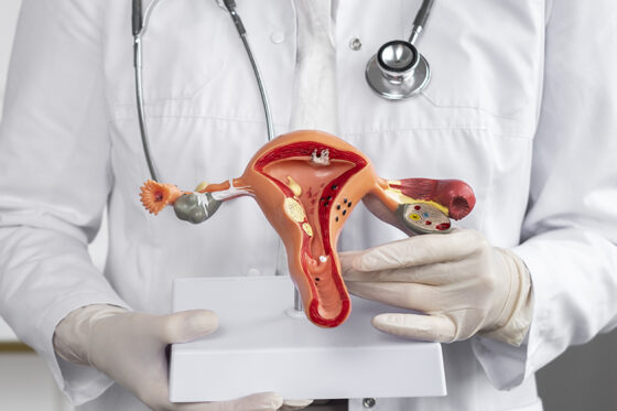 doctor de vista frontal con modelo anatomico 560x373jpg