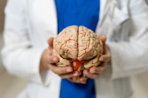 un investigador examina un modelo de cerebro humano en un laboratorio un investigador sostiene un modelo detallado de un cerebro humano que muestra la neuroanatomia en un laboratorio 560x373jpg Advanced Health Laser un investigador examina un modelo de cerebro humano en un laboratorio un investigador sostiene un modelo detallado de un cerebro humano que muestra la neuroanatomia en un laboratorio 560x373jpg